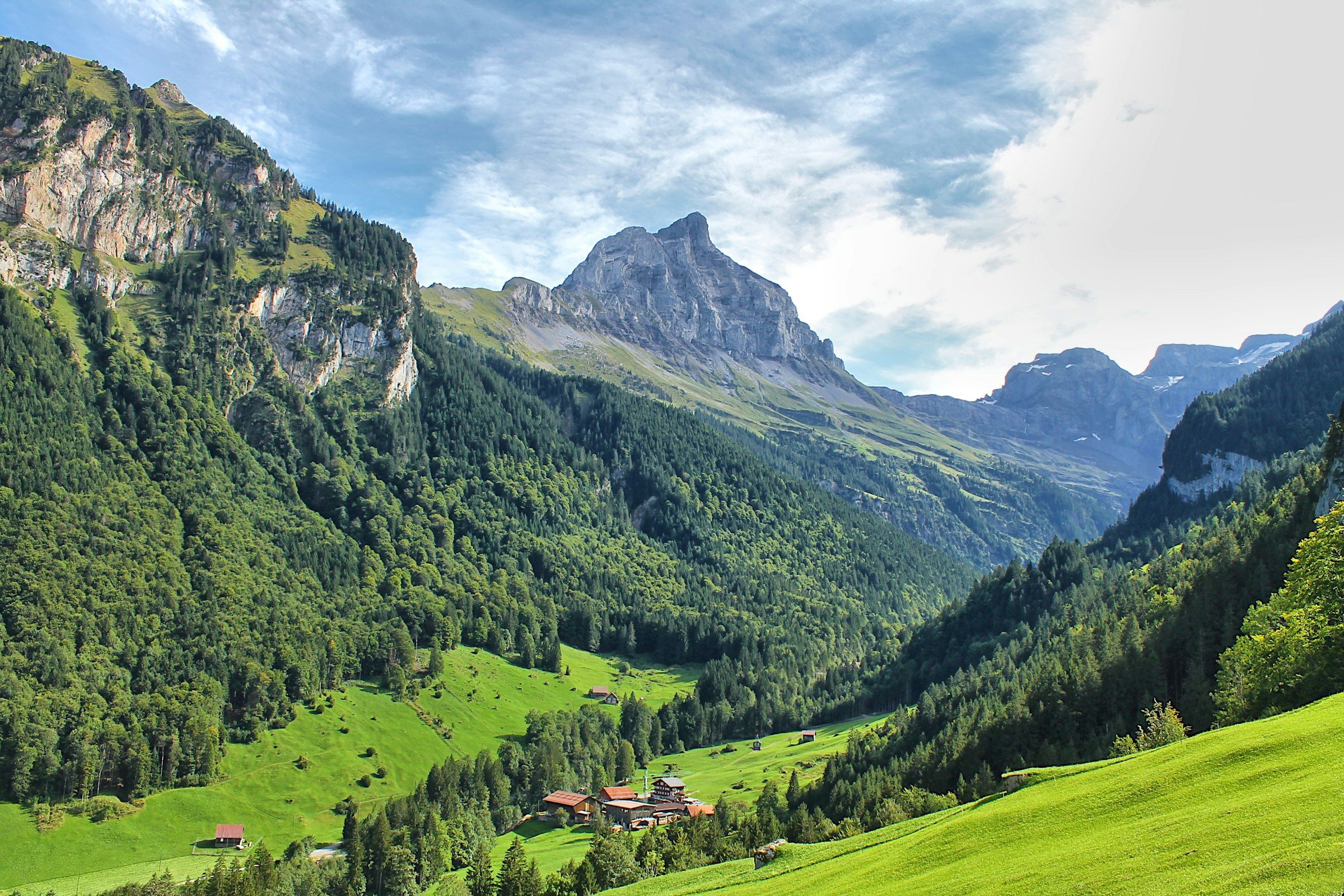 Grünes Tal mit Bergen im Hintergrund